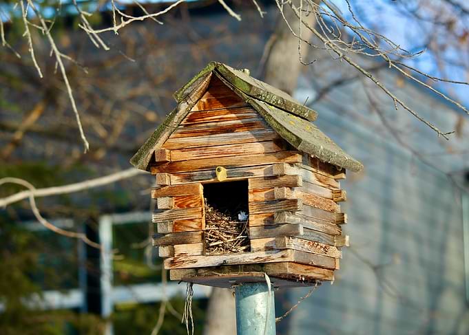 Rustic Wooden Birdhouse with Nest