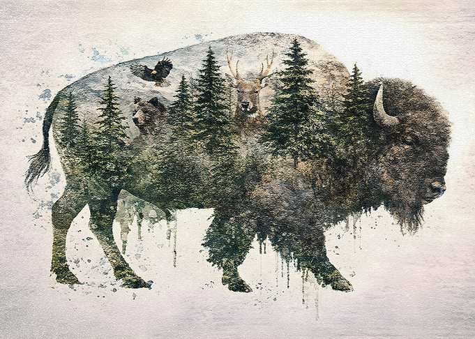 Bison Double Exposure Nature Scene