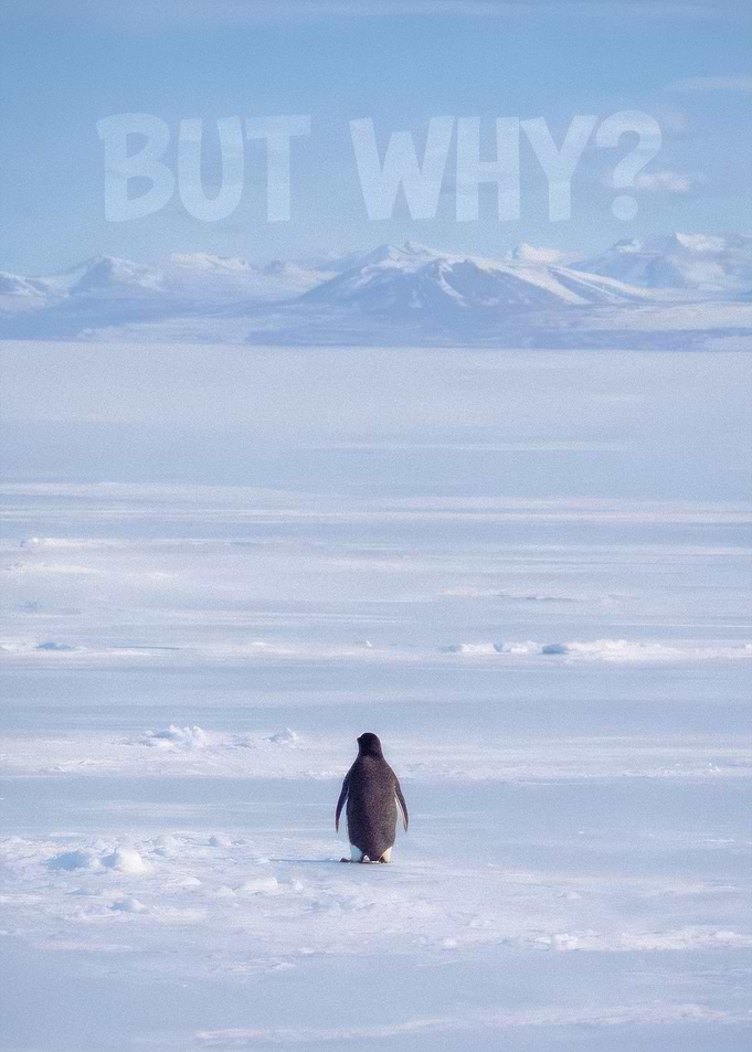 Nihilist Penguin - But Why?