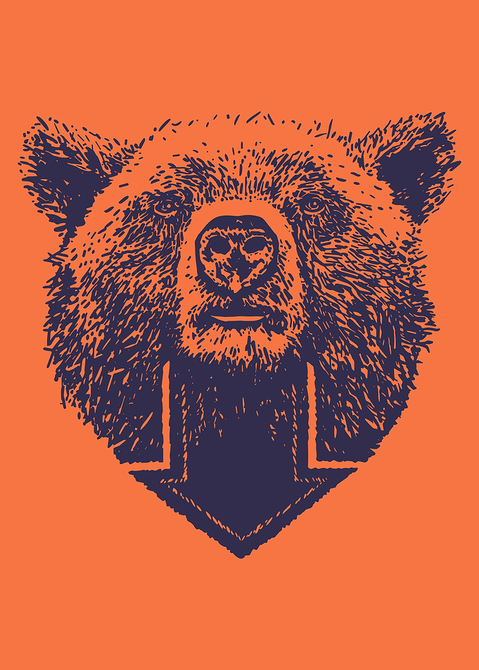Bear Head Poster, Bold Graphic Bear Illustration, Modern Wildlife Wall Art Print