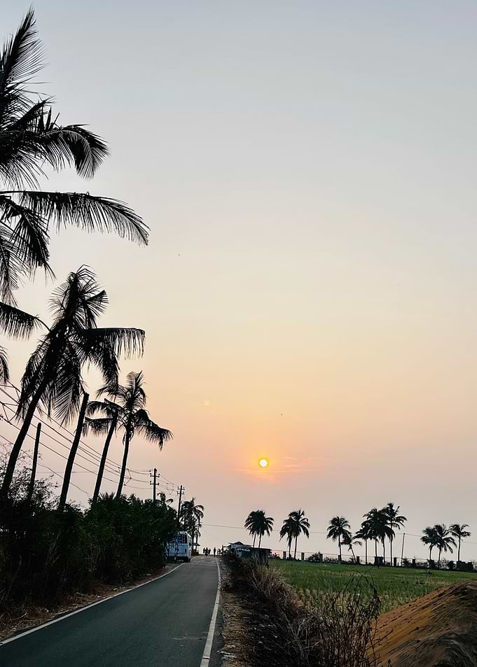 Sunset road with palm trees