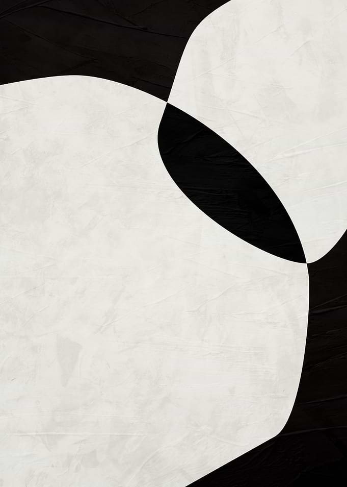 Abstract Black and White Shapes