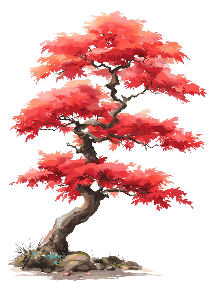 Vibrant Red Maple Bonsai Tree