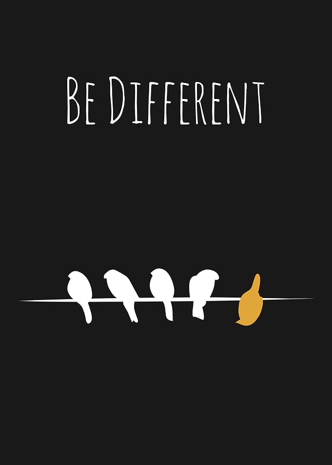 Be Different Birds on a Wire