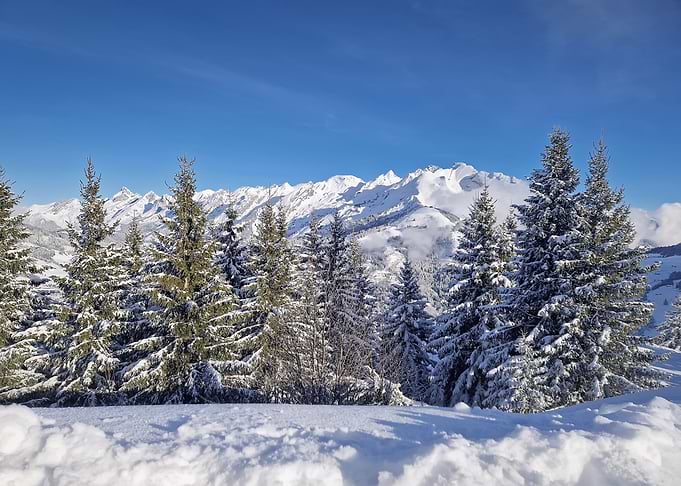 Snowy Mountain Landscape with Pine Trees