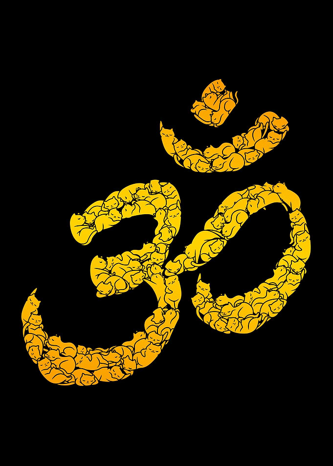 Om Cat