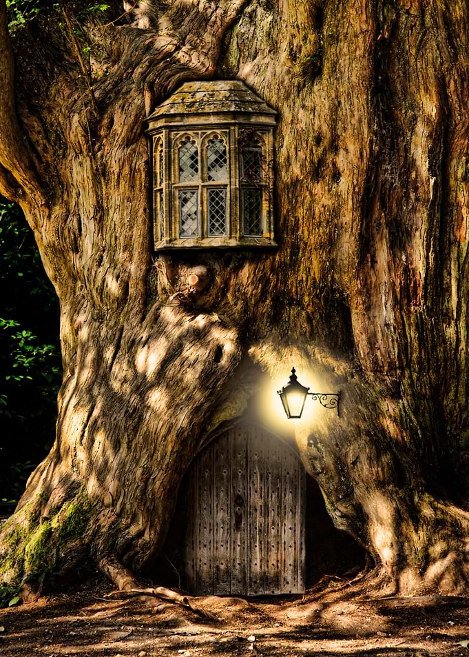 Enchanted Treehouse Door and Window