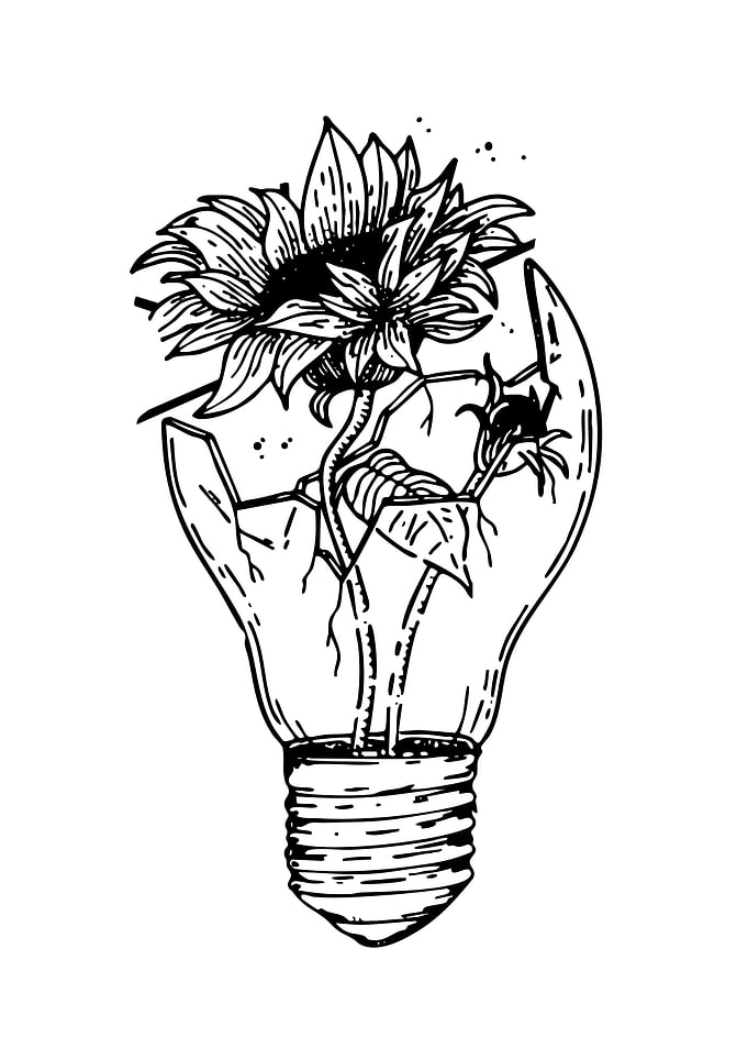 Sunflower Growing Inside Broken Lightbulb