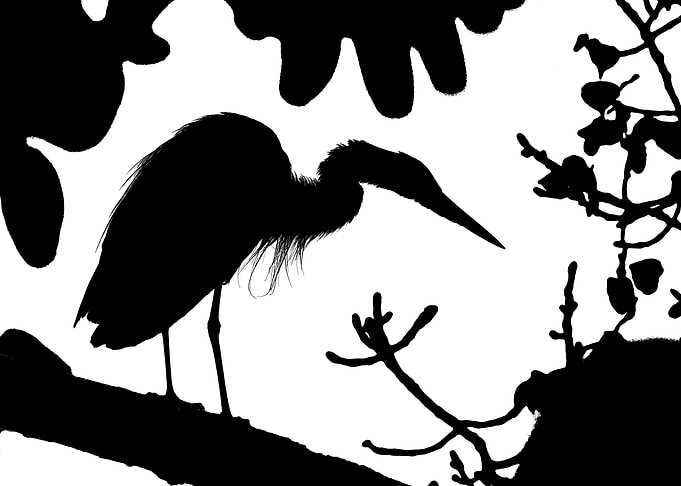 Silhouette of a Heron on a Branch