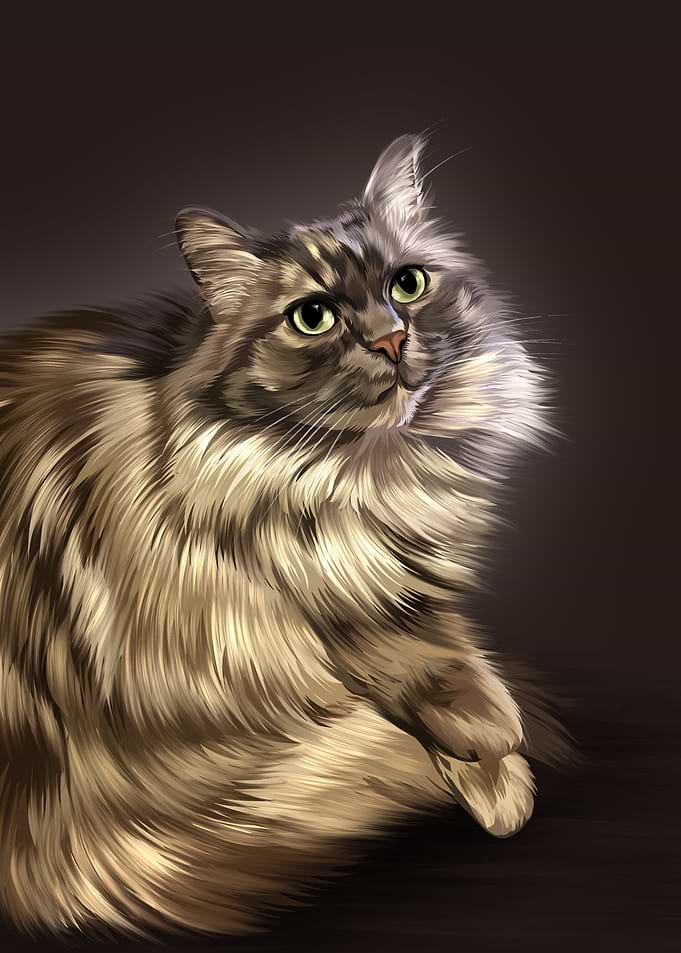 Digital Painting of a Fluffy Cat