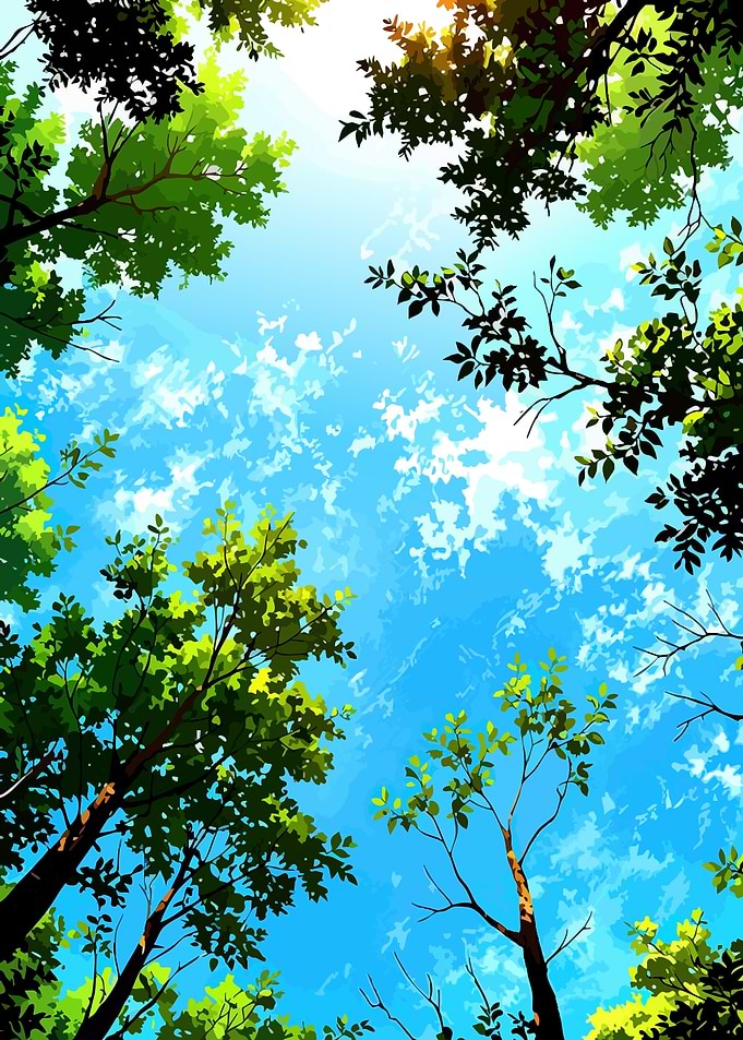 Looking up through green trees at the sky