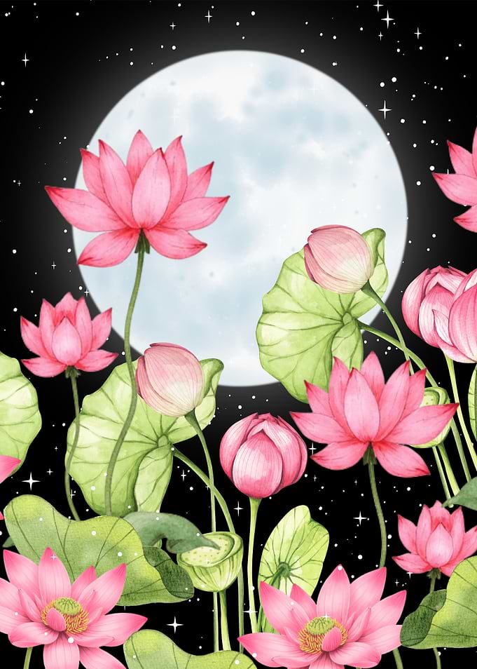 Pink Lotus Flowers Under the Moon