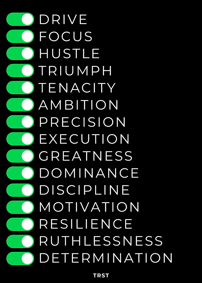 Mindset Switches – Discipline, Focus, Execution Motivational Mindset Poster