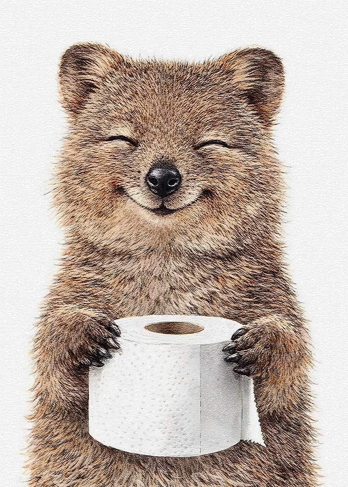 Quokka Holding Toilet Paper