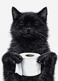 Black Cat Holding Toilet Paper