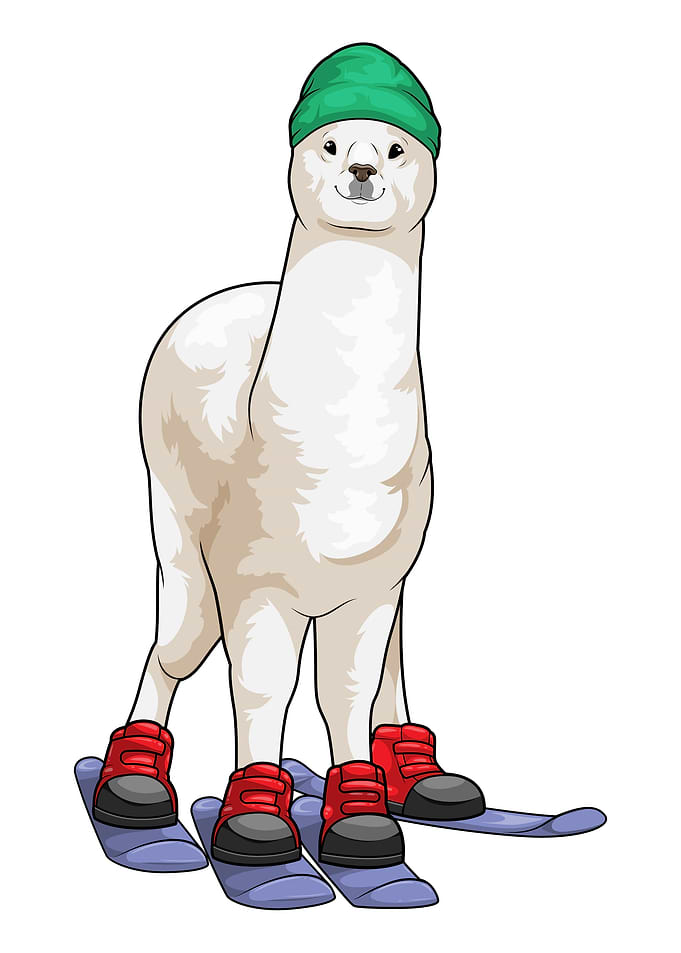 Alpaca Skier Ski