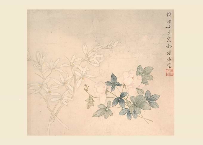 Flower Study