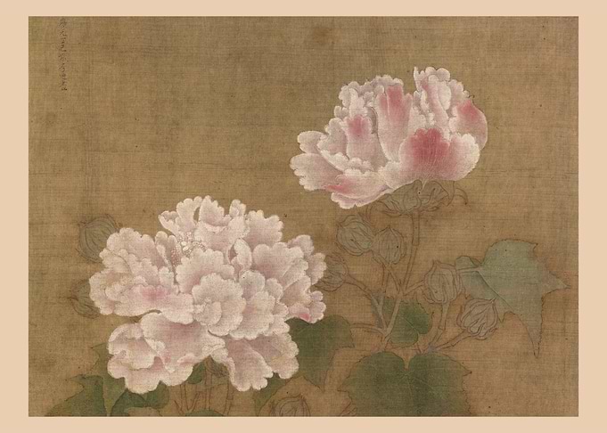 Red hibiscuses