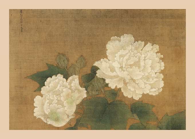 White Cotton Roses