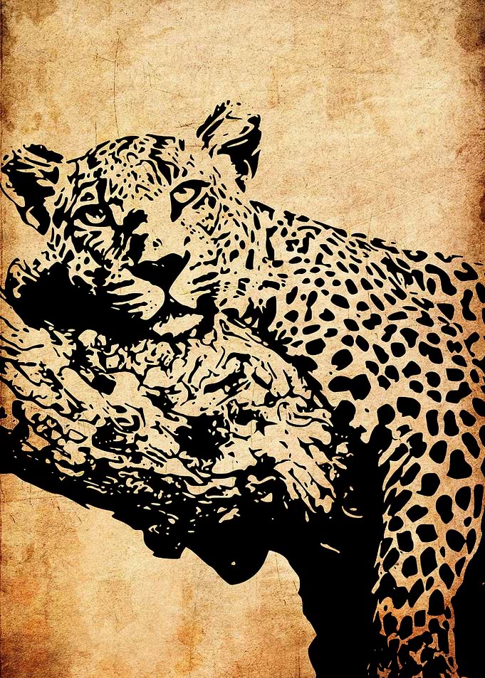 Leopard on a Textured Background