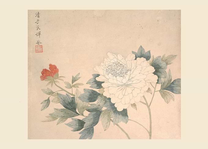 Flower Study