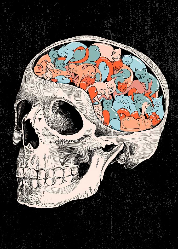 Skull and cats