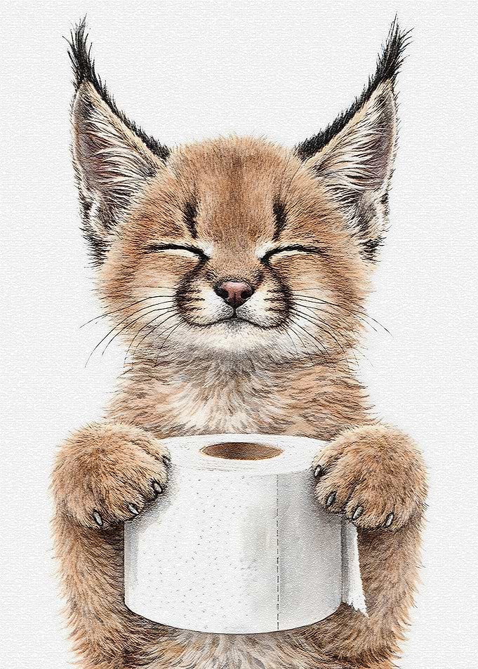 Cute Kitten Holding Toilet Paper