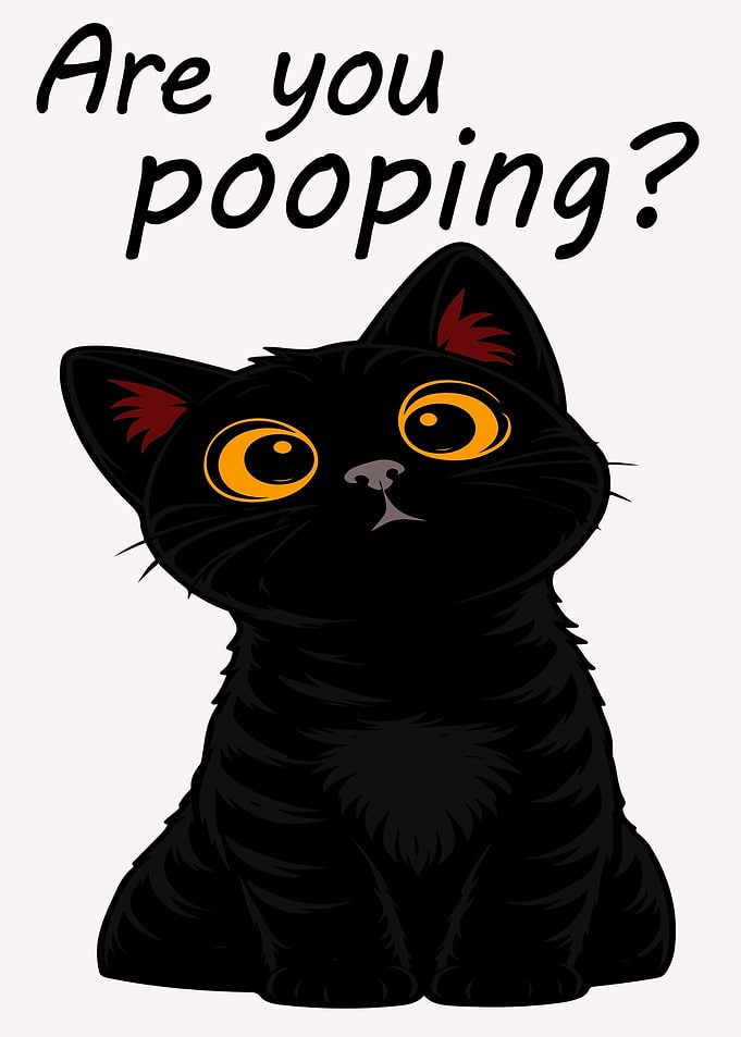 Black Cat Asking 'Are You Pooping?'