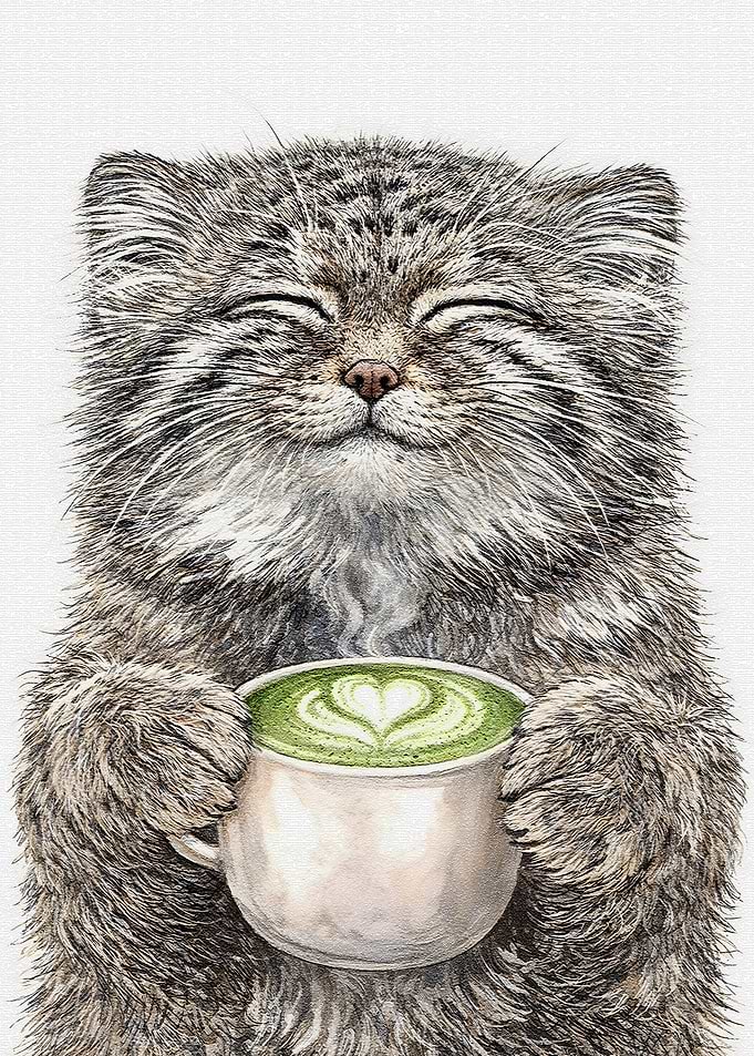 Pallas Cat with Matcha Latte