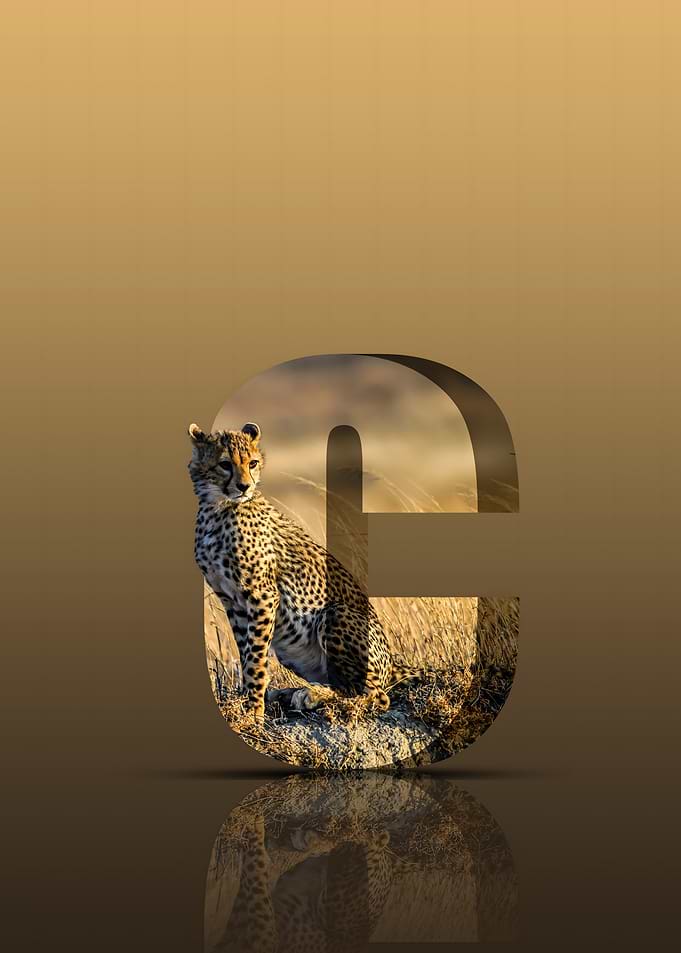 Cheetah on a Letter C