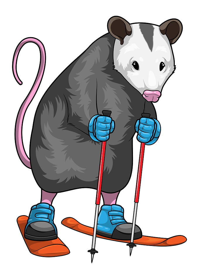 Opossum Skier Ski