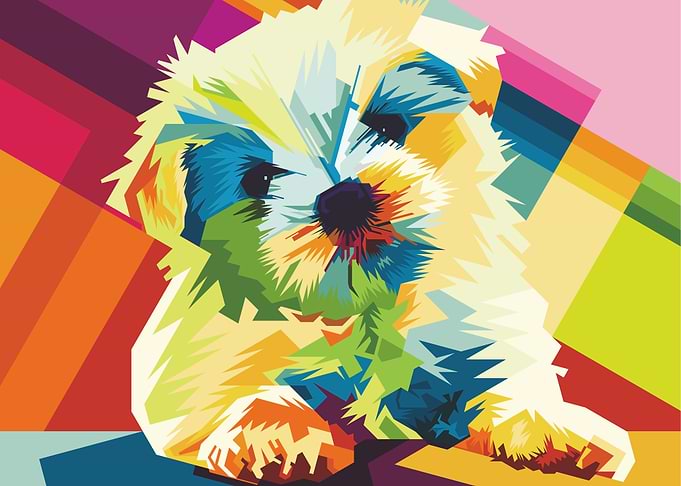 Colorful Dog Portrait