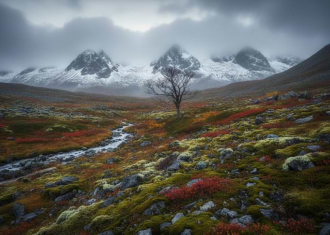 Misty Mountains and Autumn Landscape
