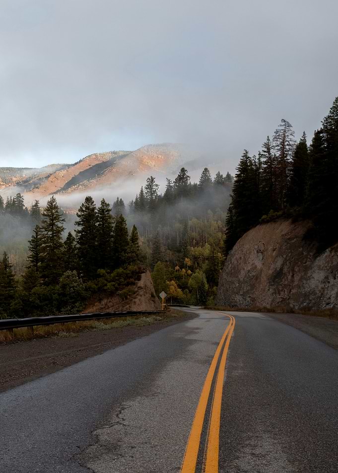 Winding Mountain Road Through Foggy Forest