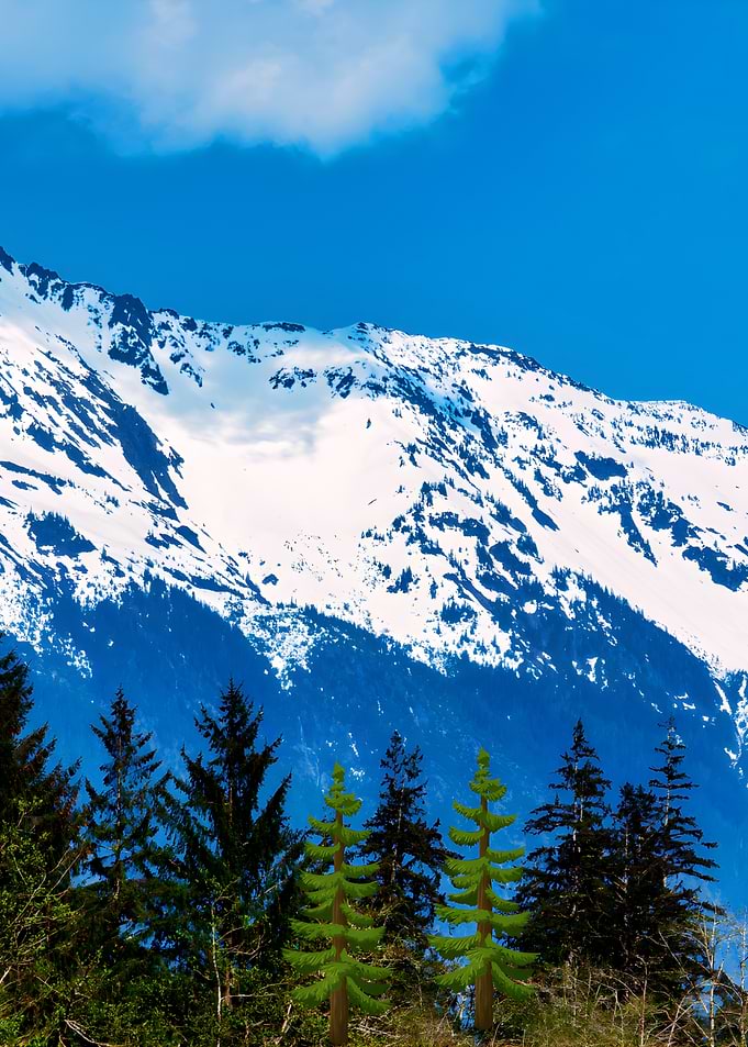 Snow-capped mountain with pine trees