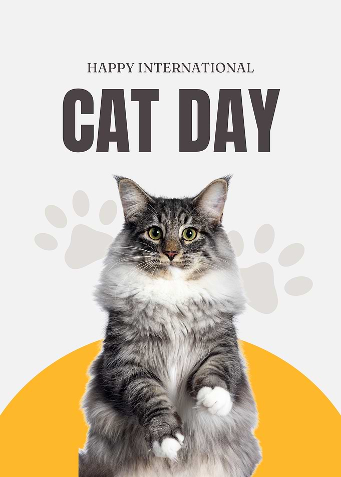 Happy International Cat Day Poster