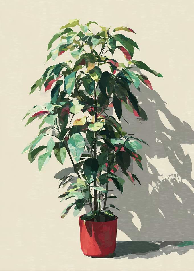 Potted Plant with Red Pot