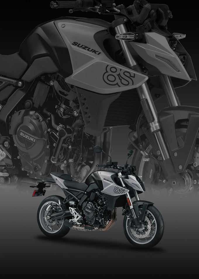 Suzuki GSX-8S Motorcycle