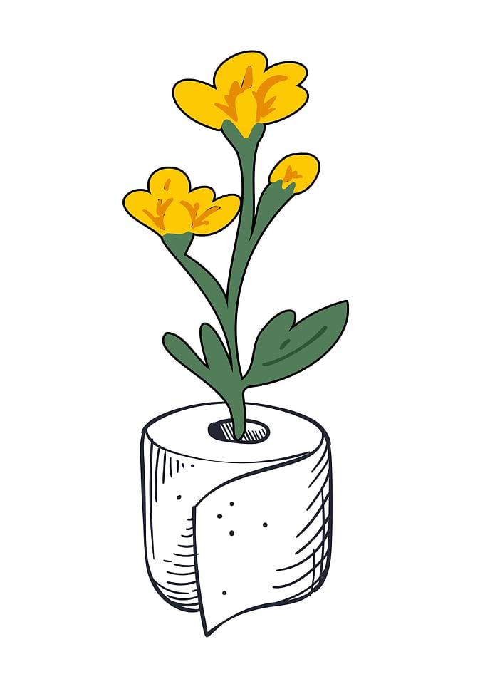 Flower Growing from Toilet Paper Roll
