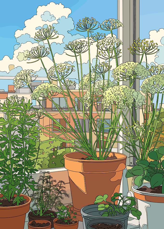 Balcony Garden with City View