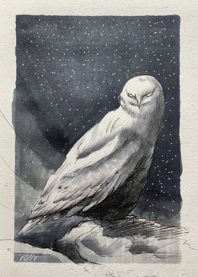 Snowy Owl in a Starry Night