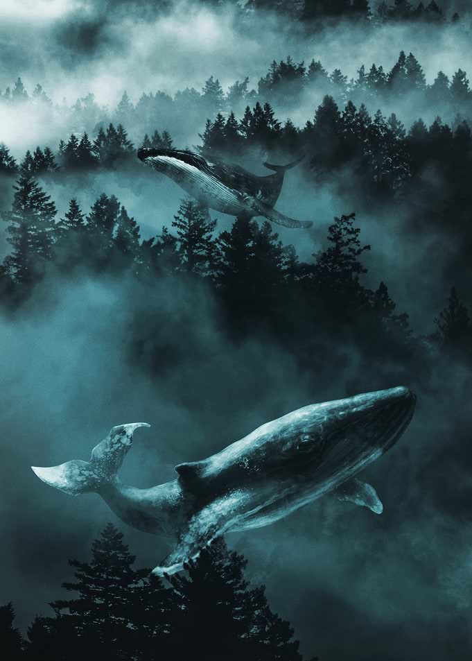 Whales swimming through a misty forest