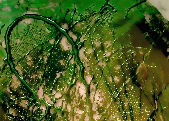 Emerald Flow – Organic Abstract Texture – Abstract Porcelain #13