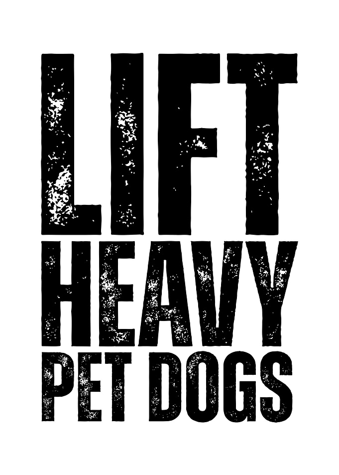 Lift Heavy Pet Dogs