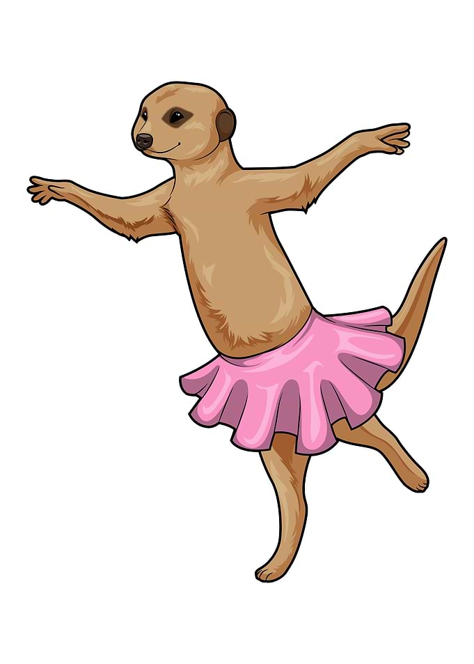 Meerkat Ballerina Ballet