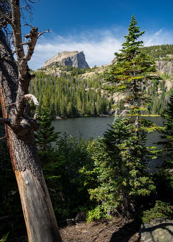 Mountain Lake with Pine Trees