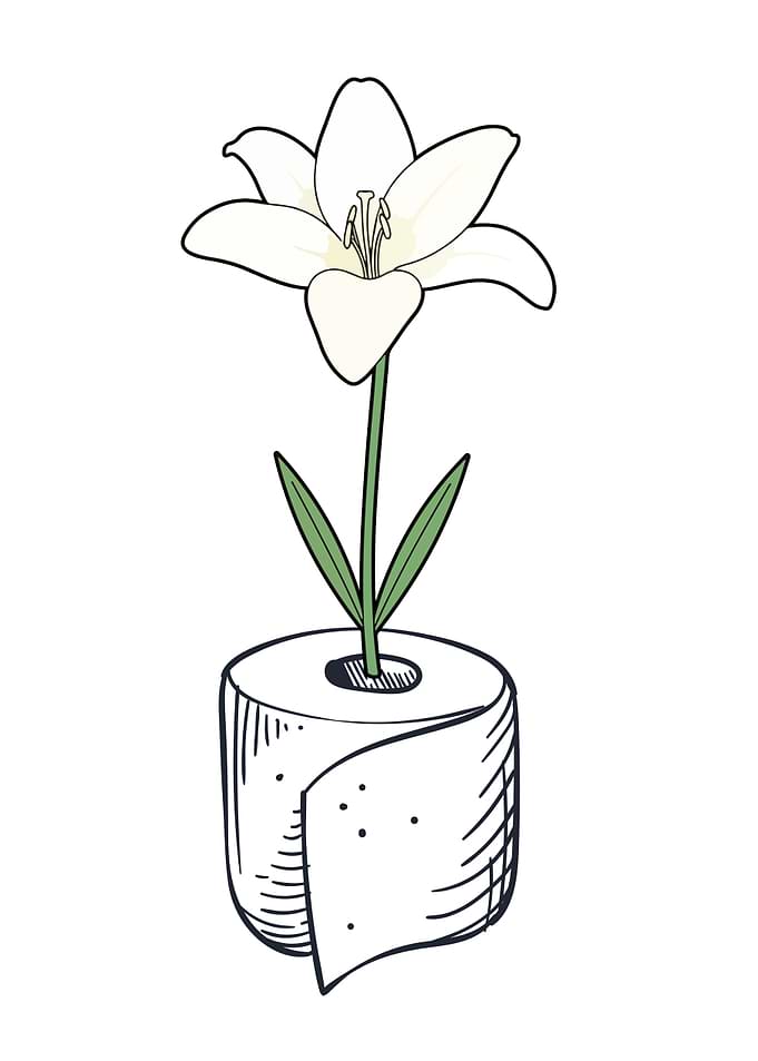Lily in Toilet Paper Roll