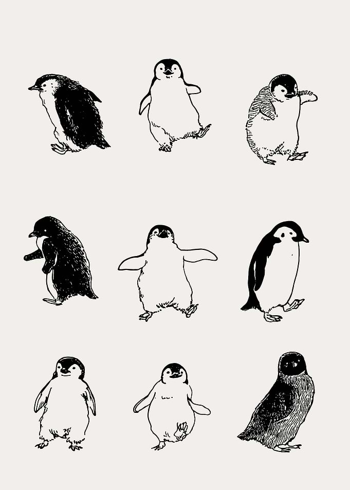 Collection of Penguin Illustrations