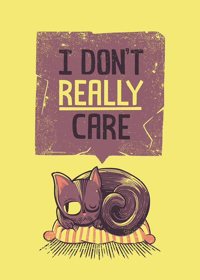 I Dont Care Cat