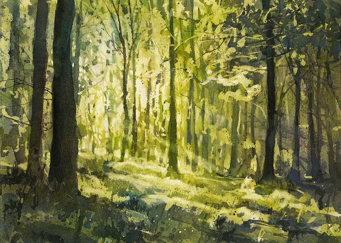 Sunlit Forest Path